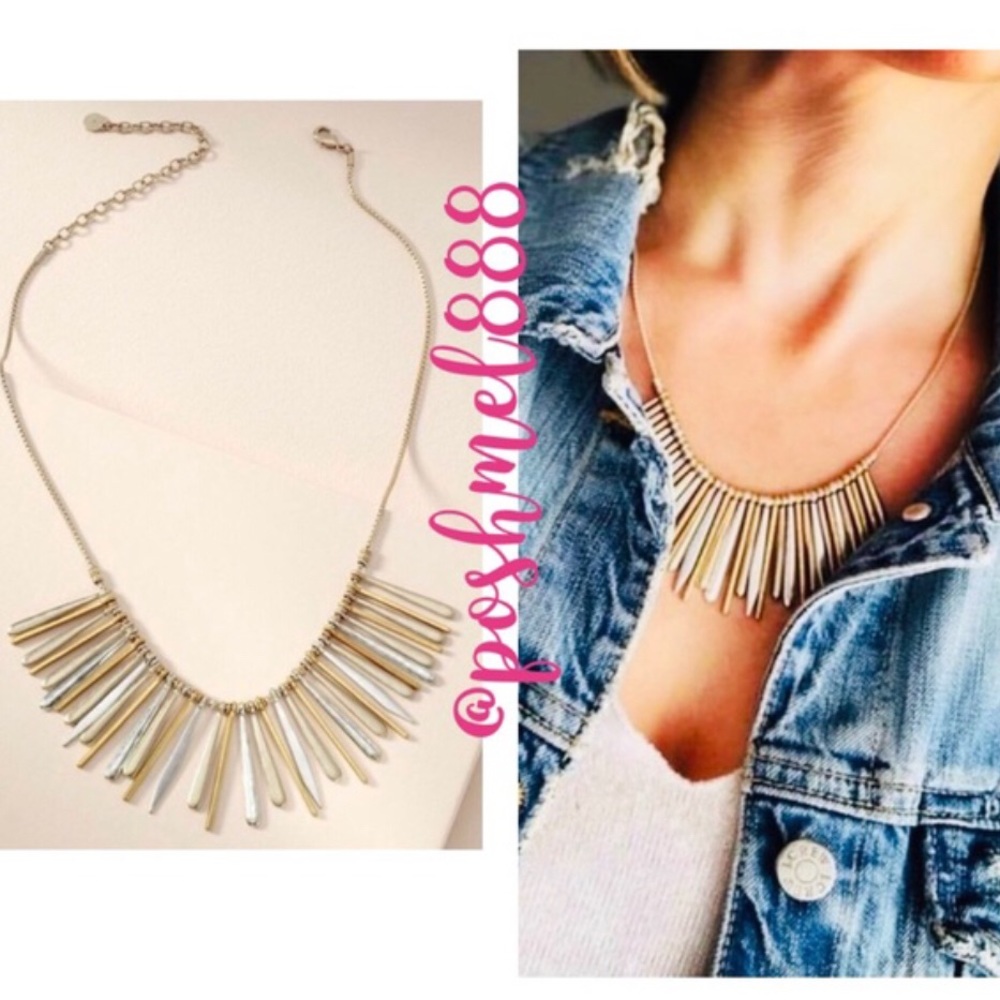 :: Stella & Dot | Mixed Metal Essential Fringe Necklace